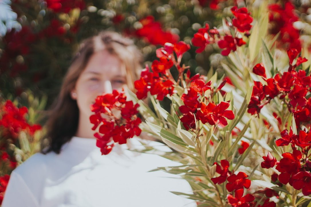 MADE - LINE Bundle Easy Tee Shirt , Shorts, Pants + Sweatshirt PDF Sewing Pattern - Madswick - Simplifi Fabric