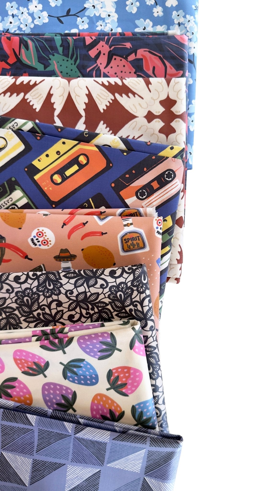 Skyward - Tanya Celia - Laminated Collective -Cloud9 Fabrics - Simplifi Fabric