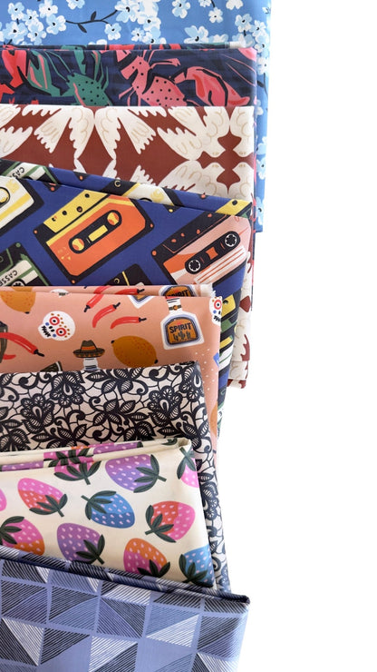 Skyward - Tanya Celia - Laminated Collective -Cloud9 Fabrics - Simplifi Fabric