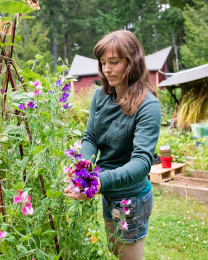 Woodley Tee Womens PDF Sewing Pattern - Thread Theory - Simplifi Fabric