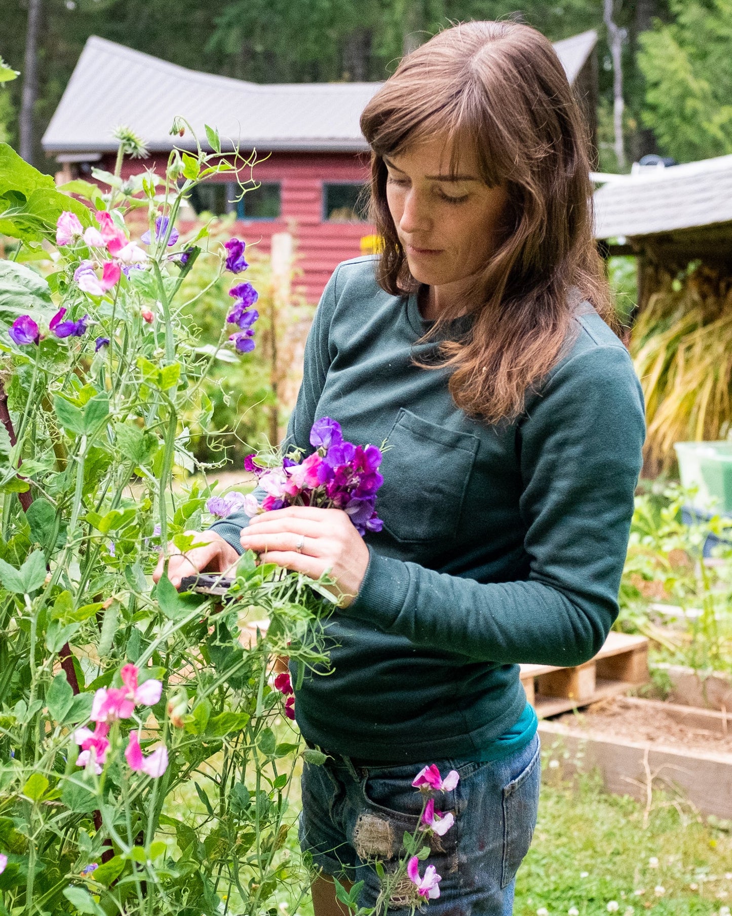 Woodley Tee Womens PDF Sewing Pattern - Thread Theory - Simplifi Fabric