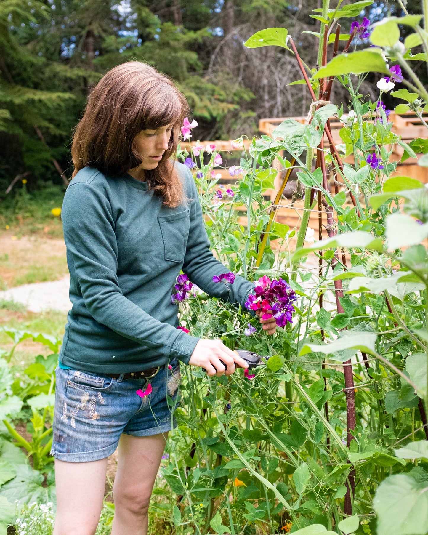 Woodley Tee Womens PDF Sewing Pattern - Thread Theory - Simplifi Fabric